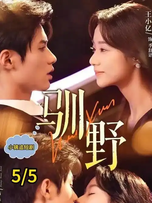 城市褶皱在线观看-小小影视